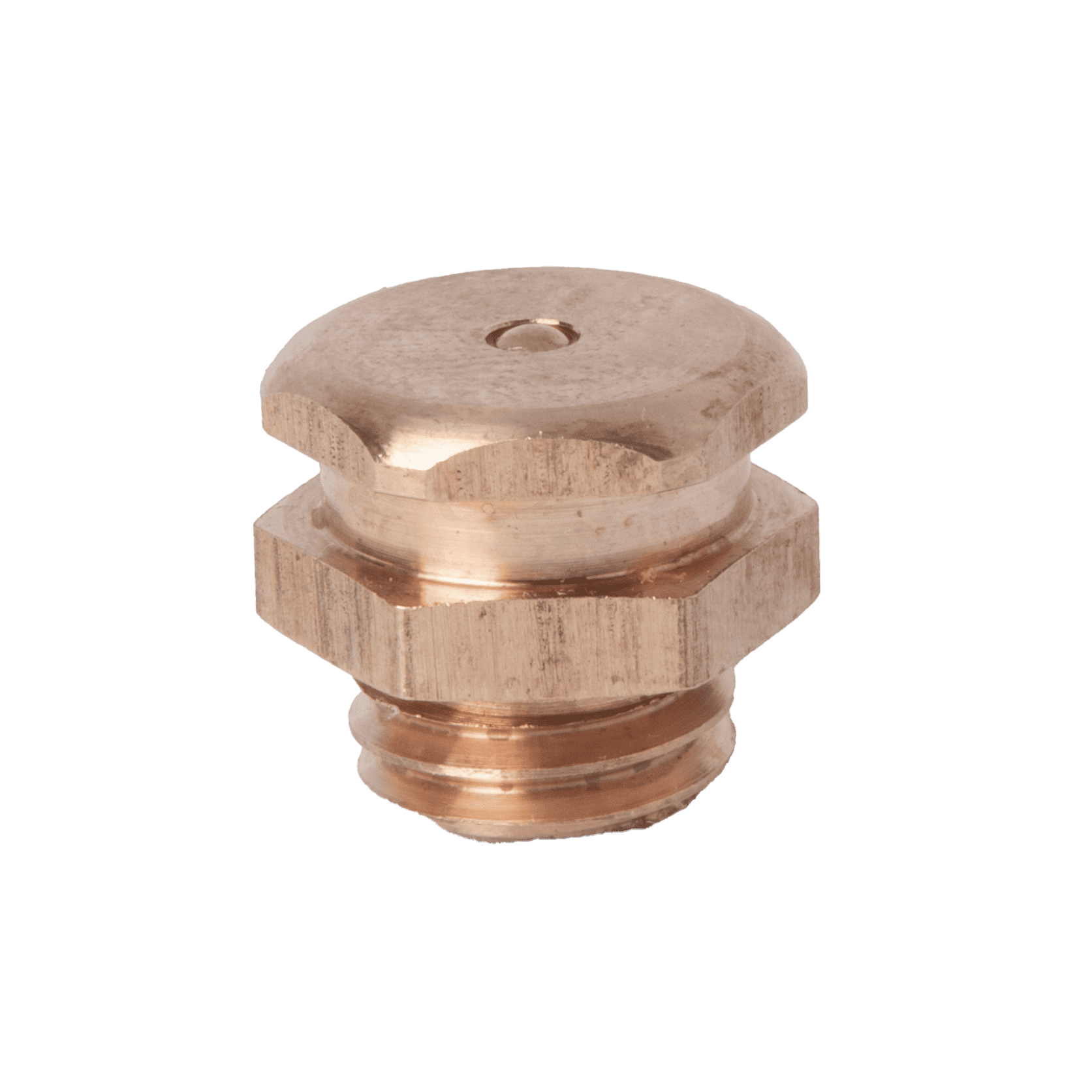 Hochwertiger Sechskantstopfen M12 x 1,75 aus britischer Phosphorbronze mit Halbrundkopf, geschlitzt und mit Gewinde, für langlebige Industriearmaturen.