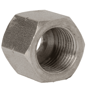 un primo piano di una noce