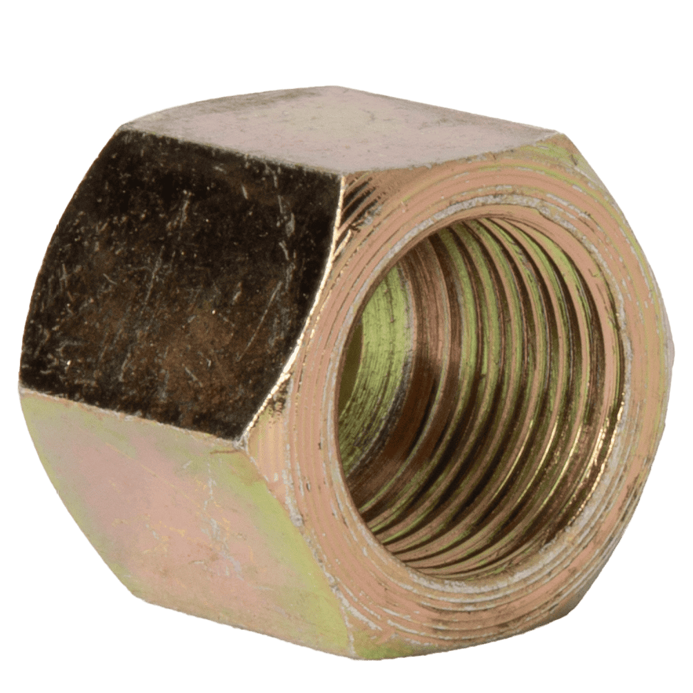 A Close Up Of A Nut
