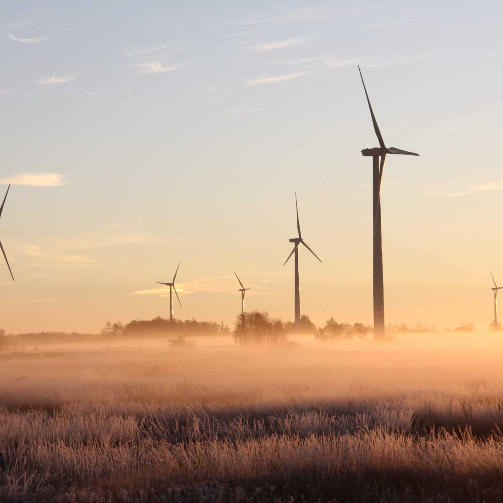 pexels-laura-penwell-3608056 44 Un groupe d'éoliennes dans un champ